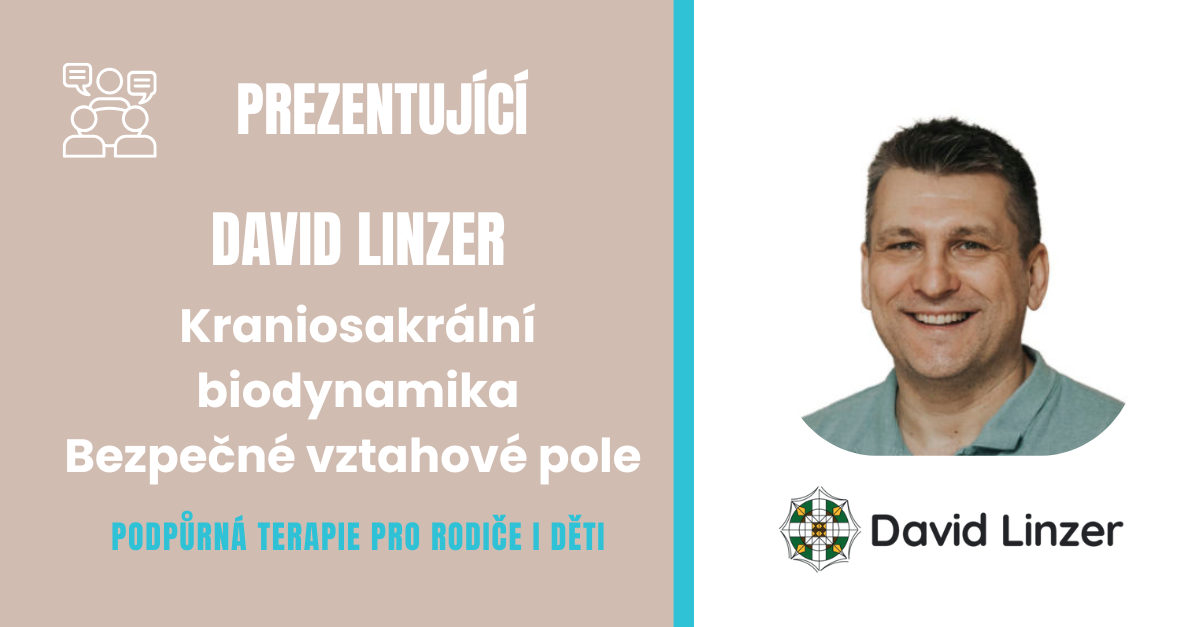 DAVID LINZER - TERAPEUT